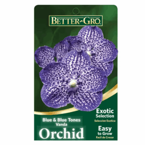 4 In. Orchid Blue Vanda Package Plant Plastic Basket