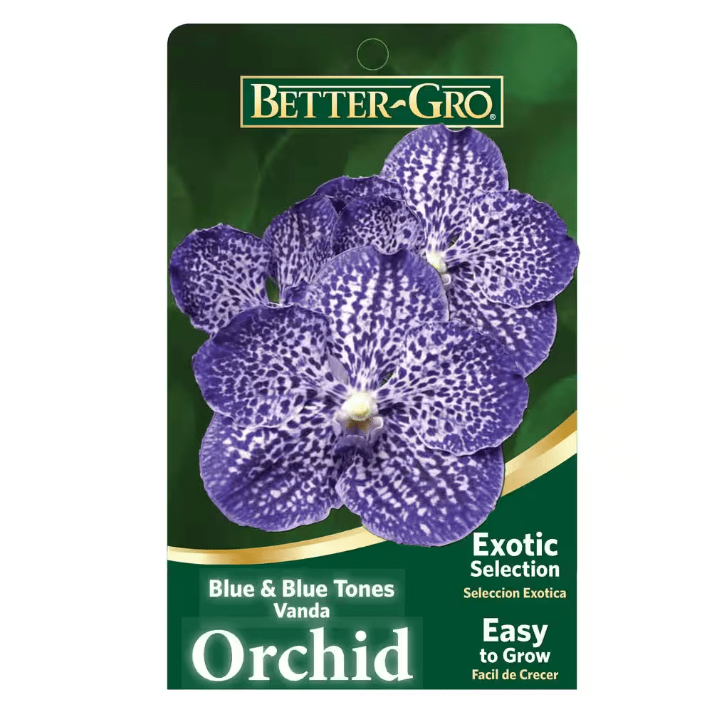 4 In. Orchid Blue Vanda Package Plant Plastic Basket