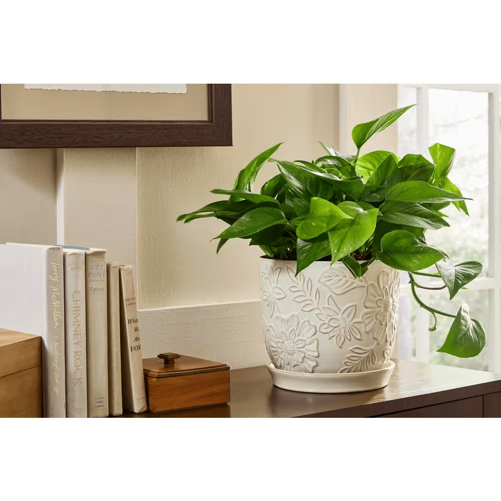 9.3 In. Lorelai Medium White Floral Ceramic Pot (9.3 In. D X 8.1 In. H) with Drainage Hole and Attached Saucer - Image 2