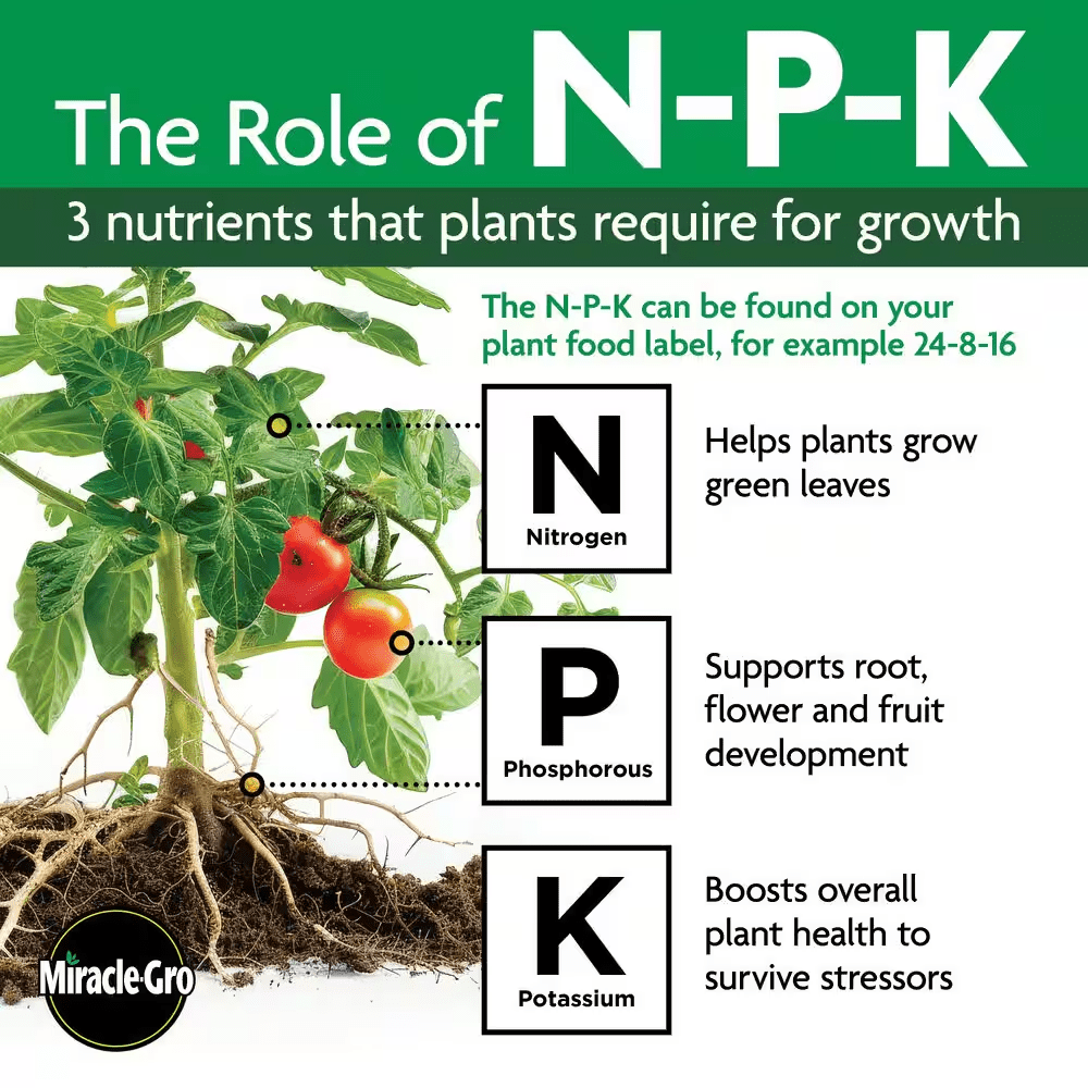 8 Oz. Water-Soluble Orchid Plant Food - Image 9