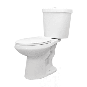 12 Inch Rough in Two-Piece 1.1 GPF/1.6 GPF Dual Flush Elongated Toilet in White Seat Included