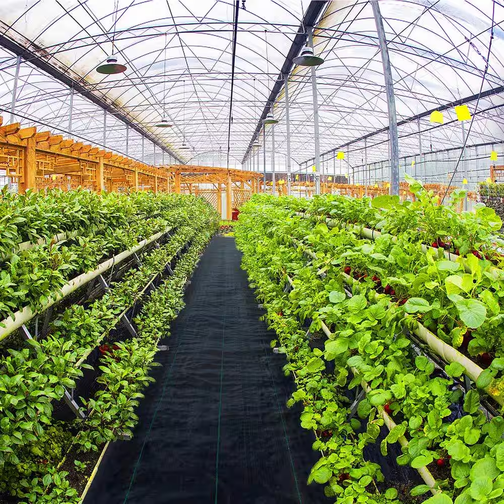 6 Ft. X 300 Ft. Premium Weed Barrier Fabric Heavy-Duty, Weed Barrier Landscape Fabric - Image 8