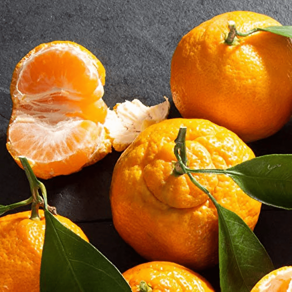 Classic Fresh Fruit Basket Gift with Crackers, Cheese and Nuts for Holiday, Thank You, Birthday, Get Well, Anniversary, Corporate - Image 2