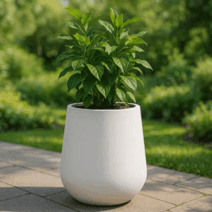 Orchid Modern Fiberstone and Clay Decorative round Plant Pot with Drainage Holes (White, 12 In. Wide)