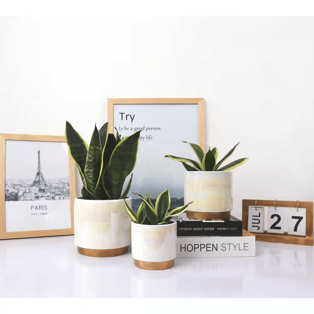 3-Pack Indoor Ceramic Planter with Drainage Hole, Succulent Orchid Flower Pot, Rainbow Pearl Glaze, White - Image 7