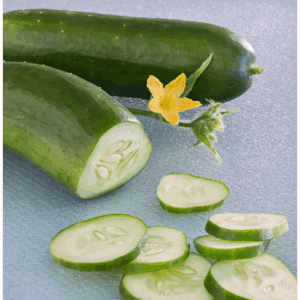 19 Oz. Burpless Bush Hybrid Cucumber Plant