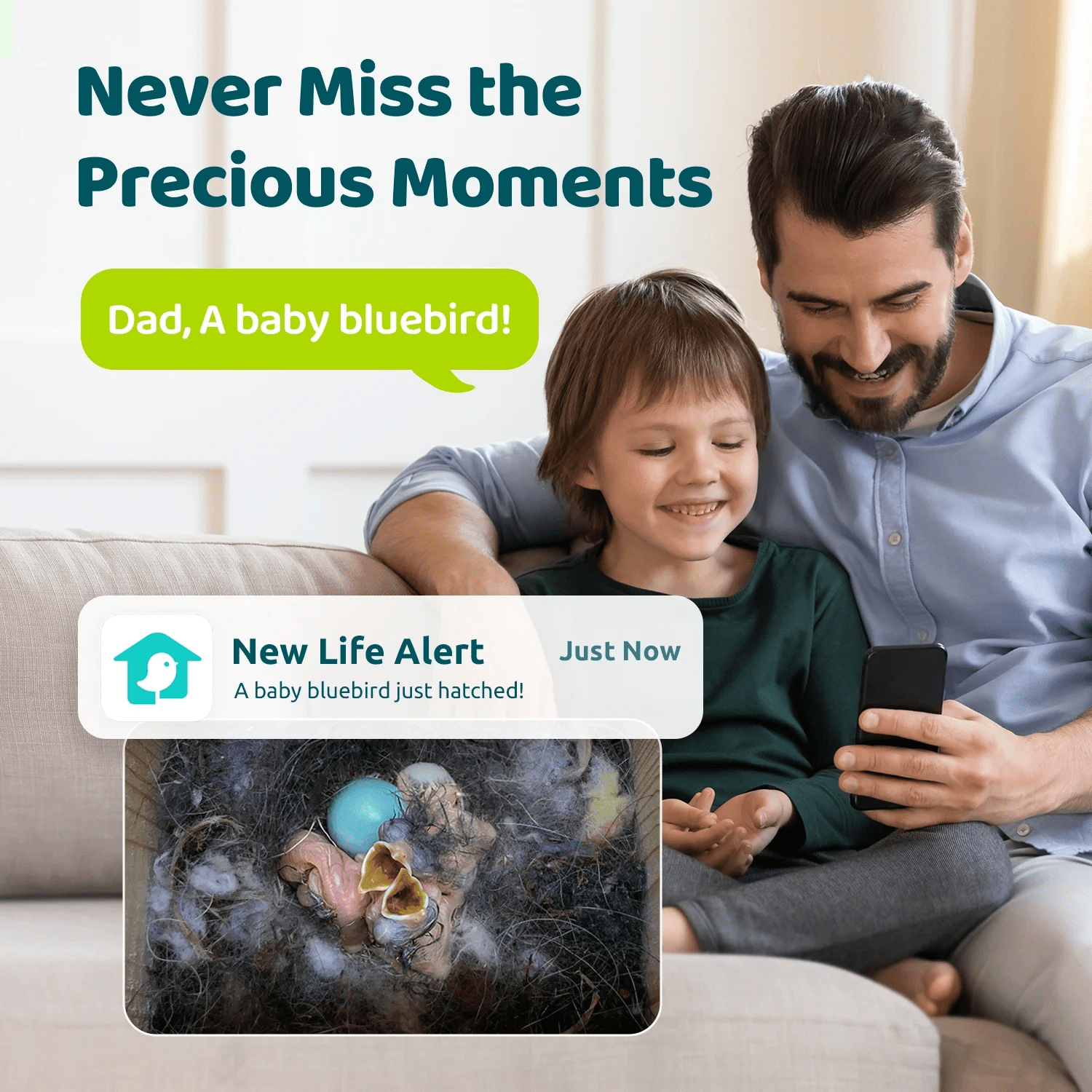 Smart s with 1080P HD Bird Feeder Camera, Perfect Viewing Bird Nesting and Hatching, Solar Powered, Cyan - Image 4