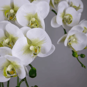 38 In. Green White Indoor Artificial Orchid Flower, 2 Pieces
