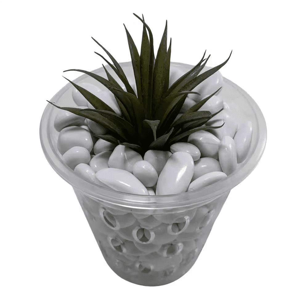 5 In. Clear Plastic Orchid Decorative Pot - Image 3