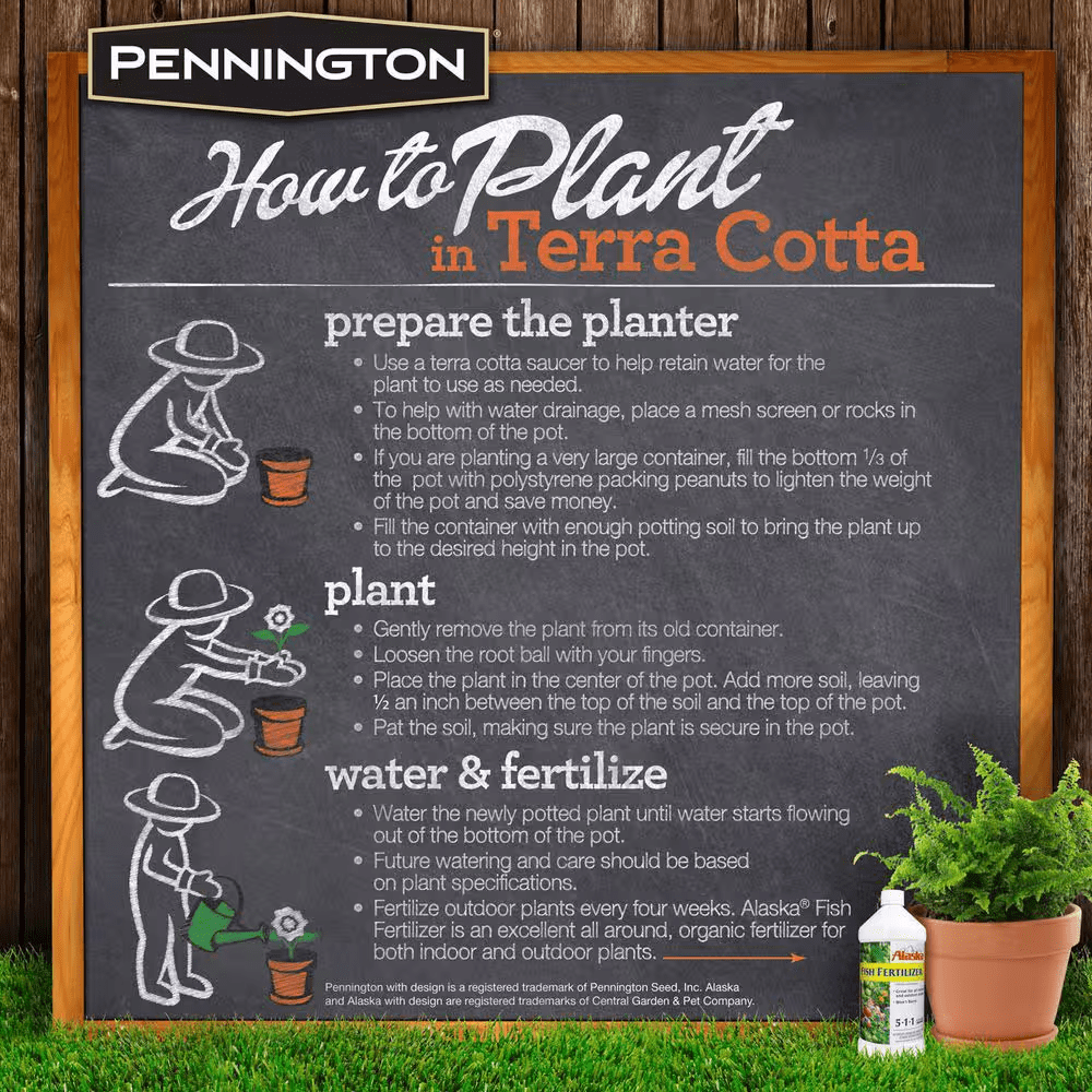 4.25 In. Small Terra Cotta Clay Pot - Image 7