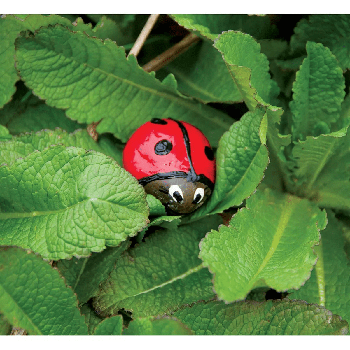 Hide & Seek Rock Painting Kit - Creativity for Kids: Paints, Stickers, Rocks, Brush, Craft Activity for Ages 6+ - Image 7