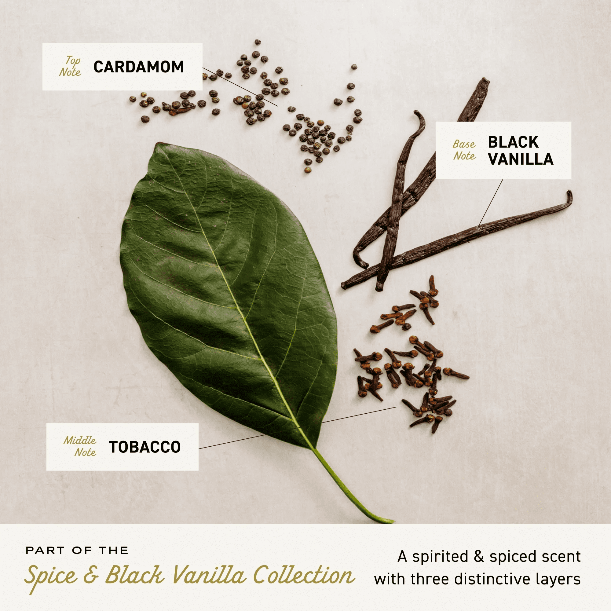 Men'S Cologne Spray, Spice & Black Vanilla Scent, 3.4 Fl Oz - Image 6