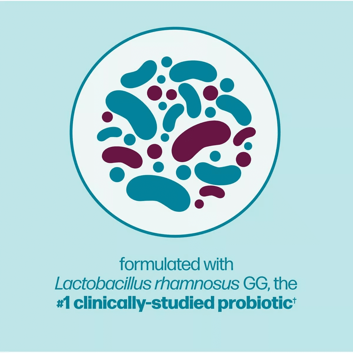 Culturelle Healthy Metabolism + Weight Management with Slimbiotics Capsules - 30Ct - Image 8