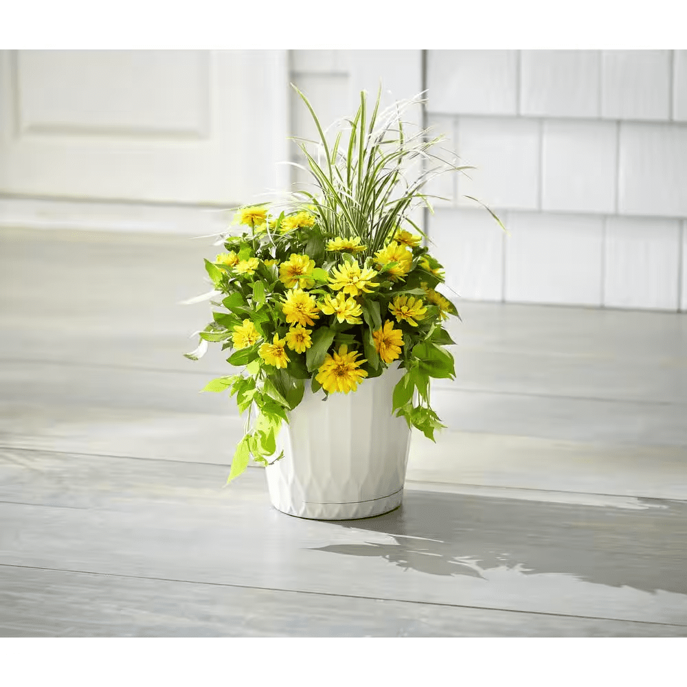 10 In. Concord Medium White Recycled Plastic Planter (10.6 In. D X 9.4 In. H) with Attached Saucer - Image 2