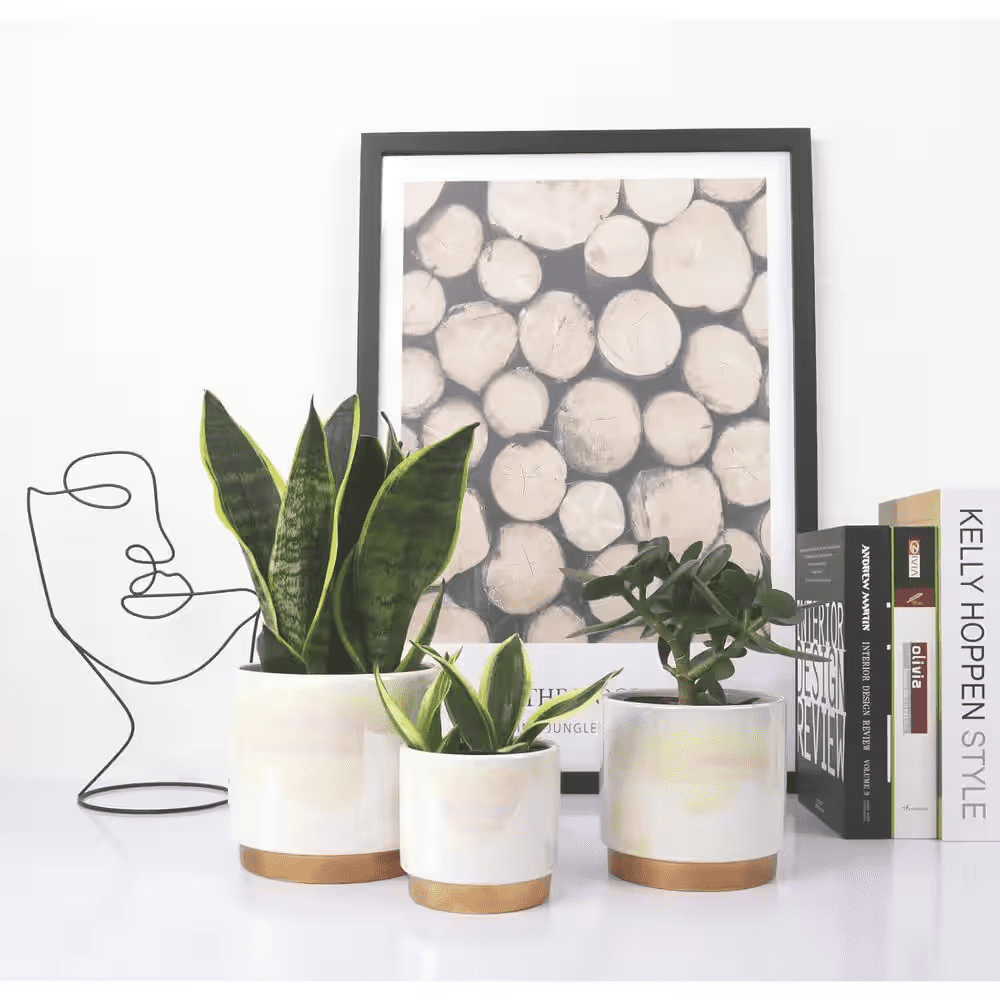 3-Pack Indoor Ceramic Planter with Drainage Hole, Succulent Orchid Flower Pot, Rainbow Pearl Glaze, White - Image 5