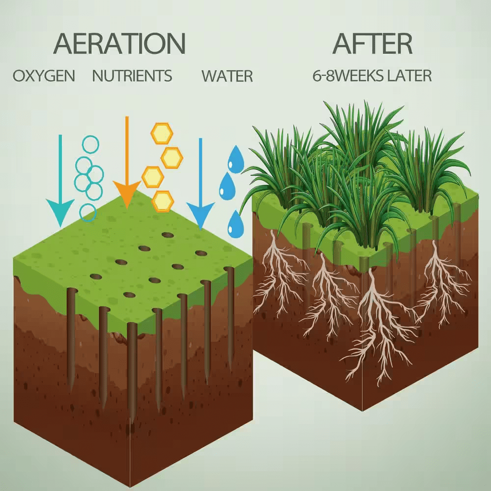 15 Iron Spikes Lawn Aerator Metal Manual Dethatching Soil Aerating Lawn T-Handle Grass Aerator Tools for Yard and Lawn - Image 6