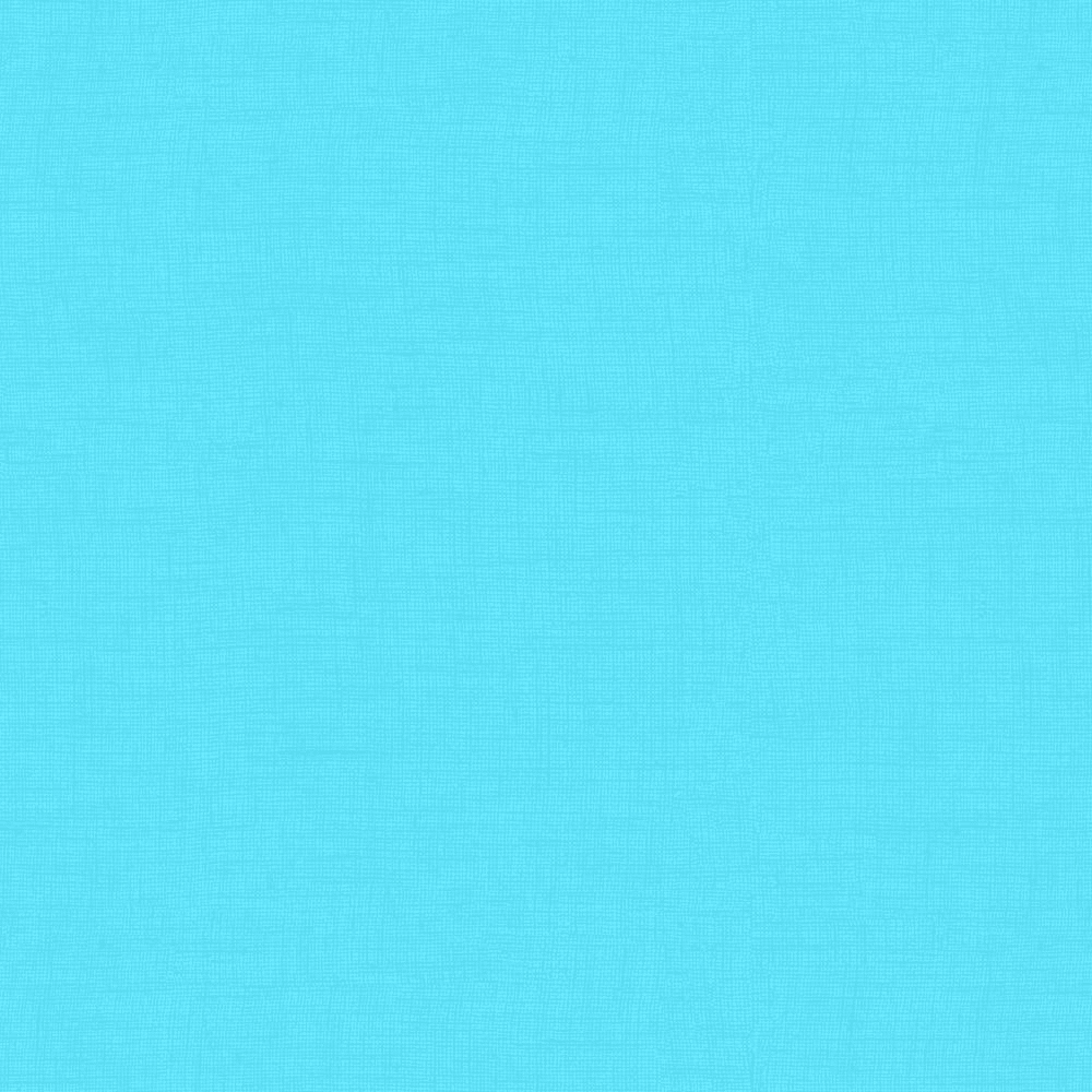 21 In. X 72 In. Outdoor Chaise Lounge Cushion in Pool Blue Leala - Image 2