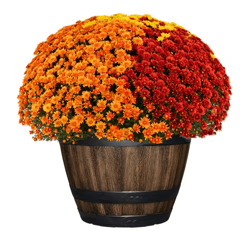 Reedley Large Kentucky Walnut Brown Resin Wine Barrel Lightweight round Planter (20 In. L X 20 In. W X 14.5 In. H) - Image 2