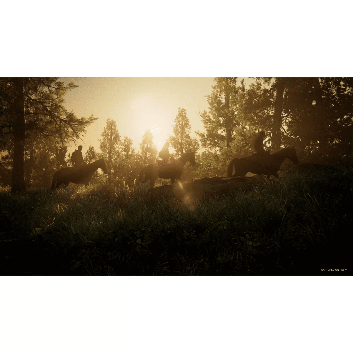 The Last of Us Part 1 - Playstation 5 - Image 4