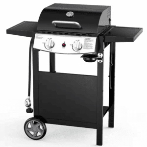 2 Burner Stainless Steel Portable Propane Gas Grill in Black