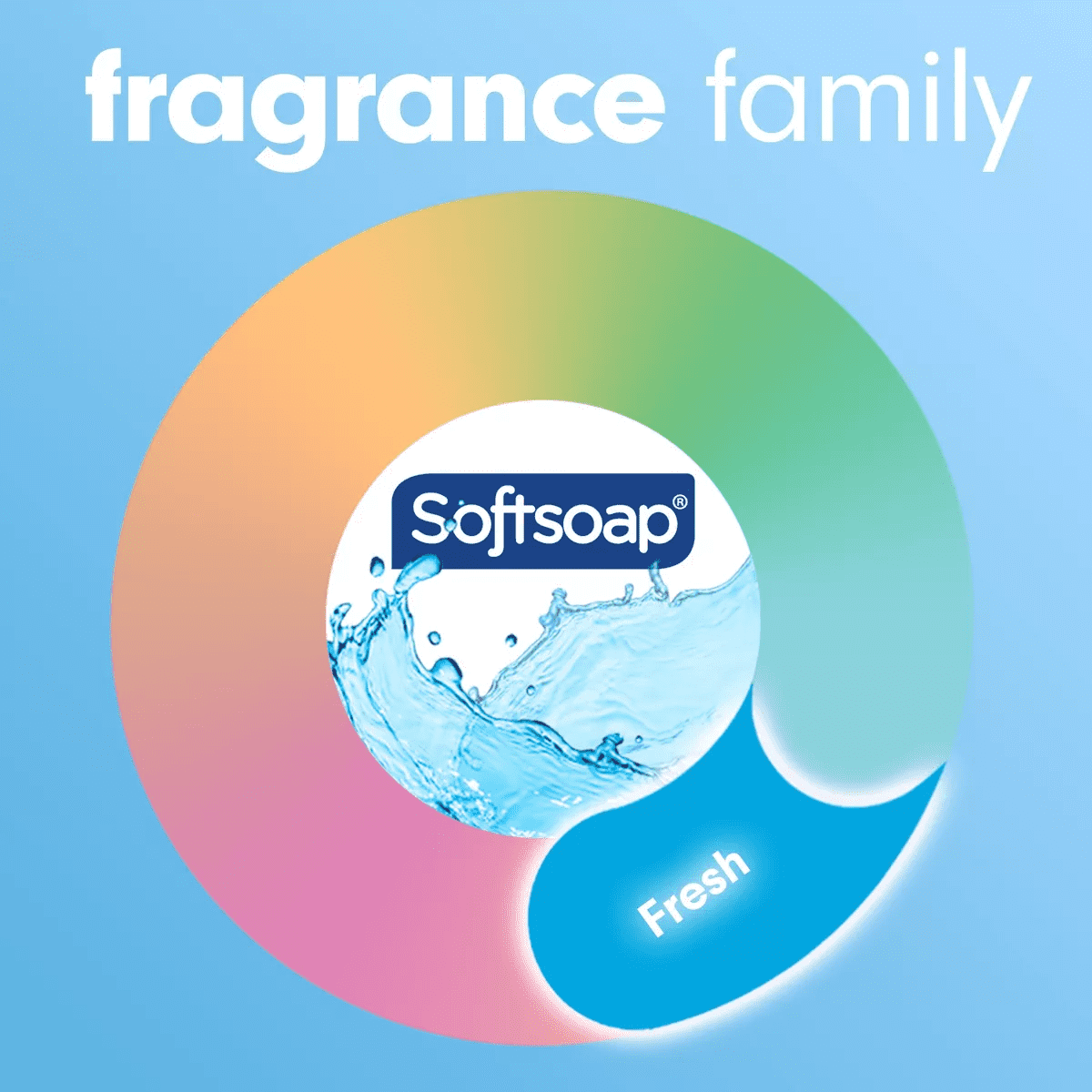 Softsoap Moisturizing Liquid Hand Soap Pump - Image 7