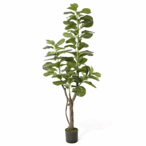 6 Ft. Green Artificial Fiddle Leaf Fig Tree with Dried Moss in Pot, Ficus Lyrata Faux Tree for Indoor Home Office