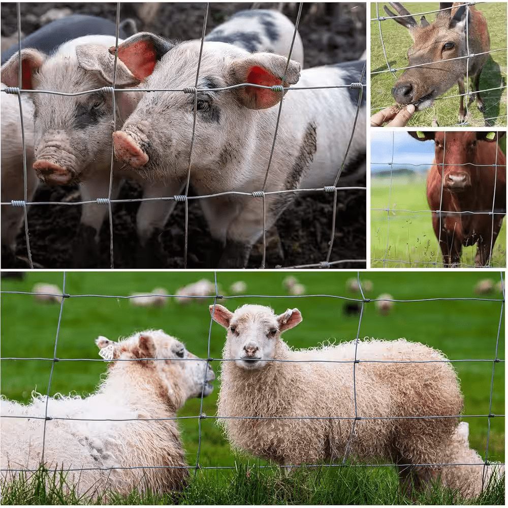 14-Gauge 4 X 164 Ft. Galvanized Cattle Farm Fence Wire Mesh for Livestock, Goat, Deer, Hog Wire Rolls Animal Barrier - Image 3