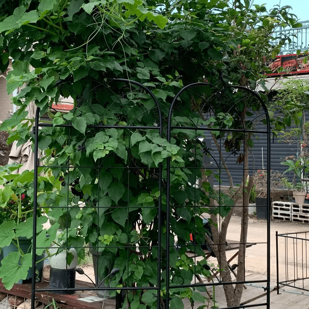 2-Pack Metal Garden Trellis-71" Tall Plant Supports for Climbing Vines, Garden Panels for Pots, Fences & Flower Beds - Image 7