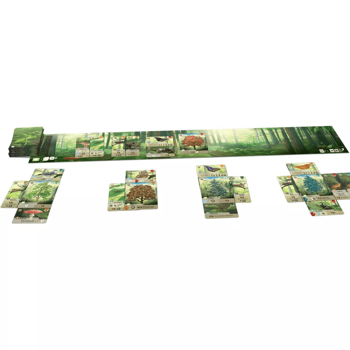 Forest Shuffle Game: Asmodee Classic Card Game for 2-5 Players - Image 3