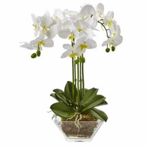 22 In. Artificial Triple Phalaenopsis Orchid in Glass Vase