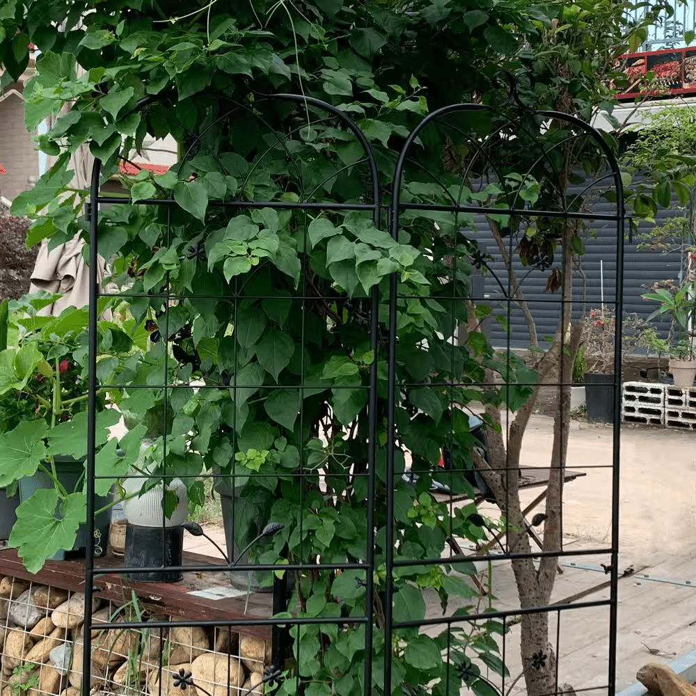 2-Pack Metal Garden Trellis-71" Tall Plant Supports for Climbing Vines, Garden Panels for Pots, Fences & Flower Beds - Image 6
