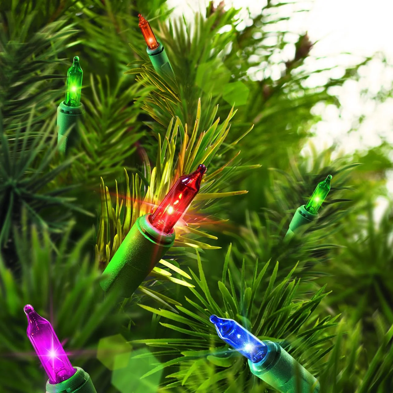 Indoor/Outdoor 100-Count Incandescent Mini Christmas String Lights, Multicolor, 19.5', by - Image 2