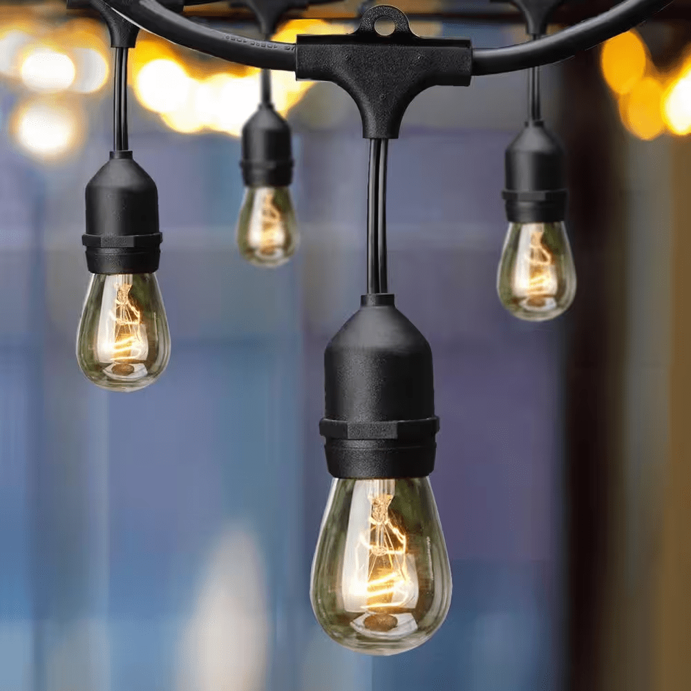 12-Light 24 Ft. Indoor/Outdoor Plug-In Incandescent Edison Bulb String Light
