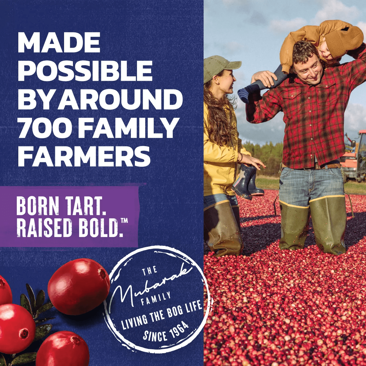 Ocean Spray Cranberry Grape - 101 Fl Oz Bottle - Image 7