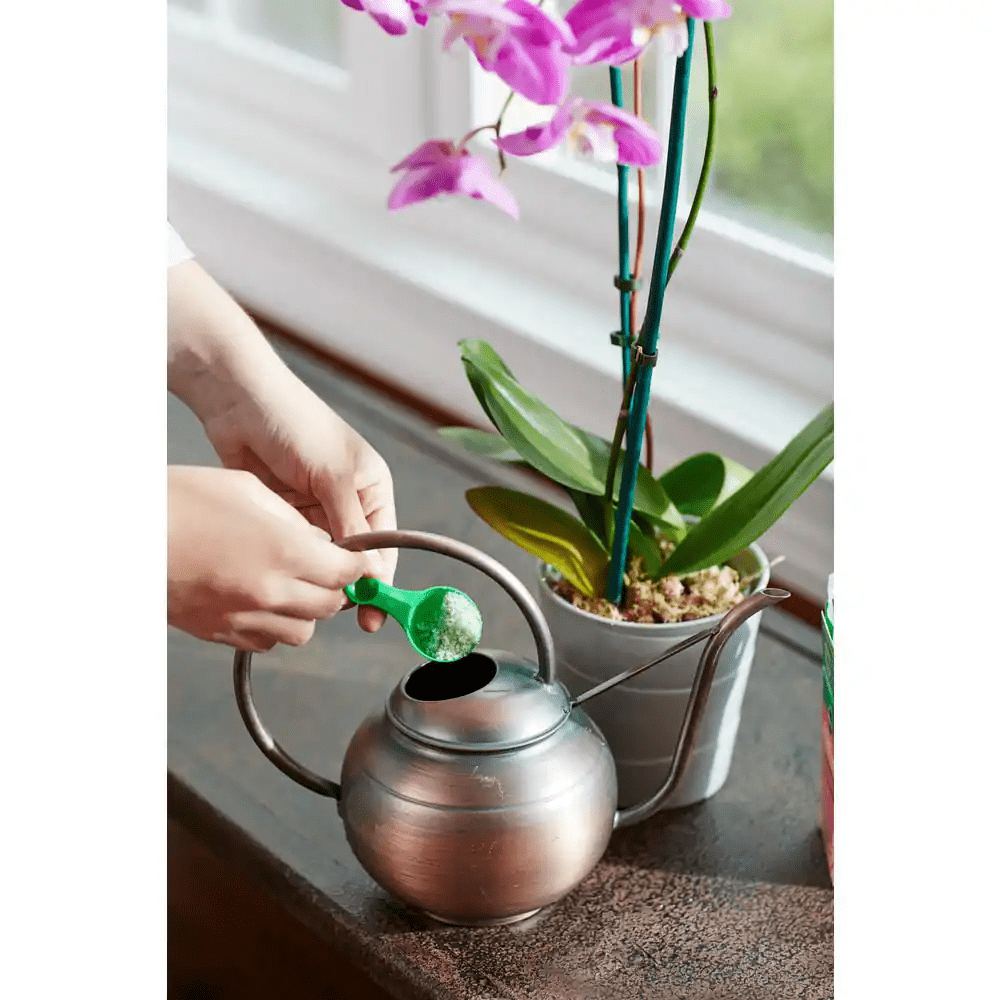 8 Oz. Water-Soluble Orchid Plant Food - Image 5