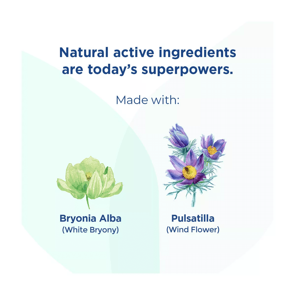 Hyland'S Naturals Kids' Cough & Mucus Combo Pack Syrup - Grape - 8 Fl Oz - Image 5