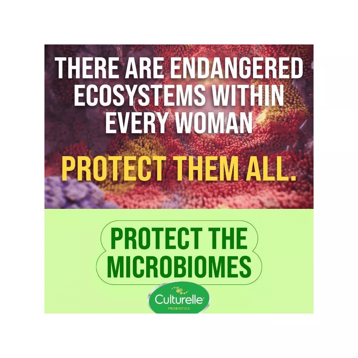 Culturelle Women'S 4-In-1 Protection for Vaginal, Digestive and Immune Health - Image 14