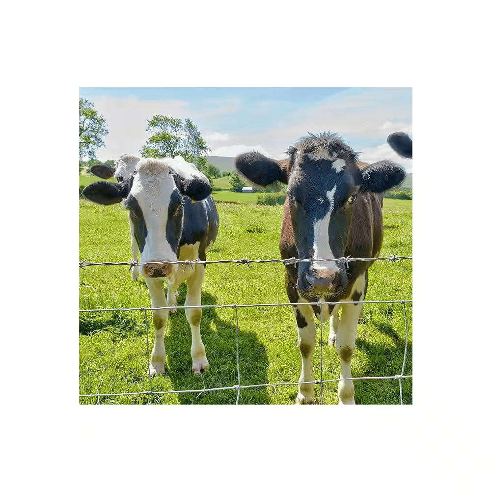 14-Gauge 4 X 164 Ft. Galvanized Cattle Farm Fence Wire Mesh for Livestock, Goat, Deer, Hog Wire Rolls Animal Barrier - Image 4