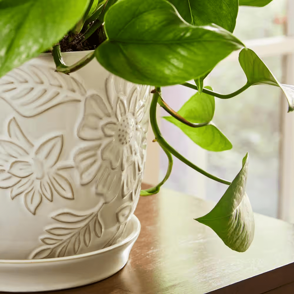 9.3 In. Lorelai Medium White Floral Ceramic Pot (9.3 In. D X 8.1 In. H) with Drainage Hole and Attached Saucer - Image 3