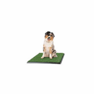 Pee Pads for Dogs - Set of 3 Replacement Turf Grass Mats for Potty Training - Dog Housebreaking Supplies for Puppies and Small Pets by PETMAKER
