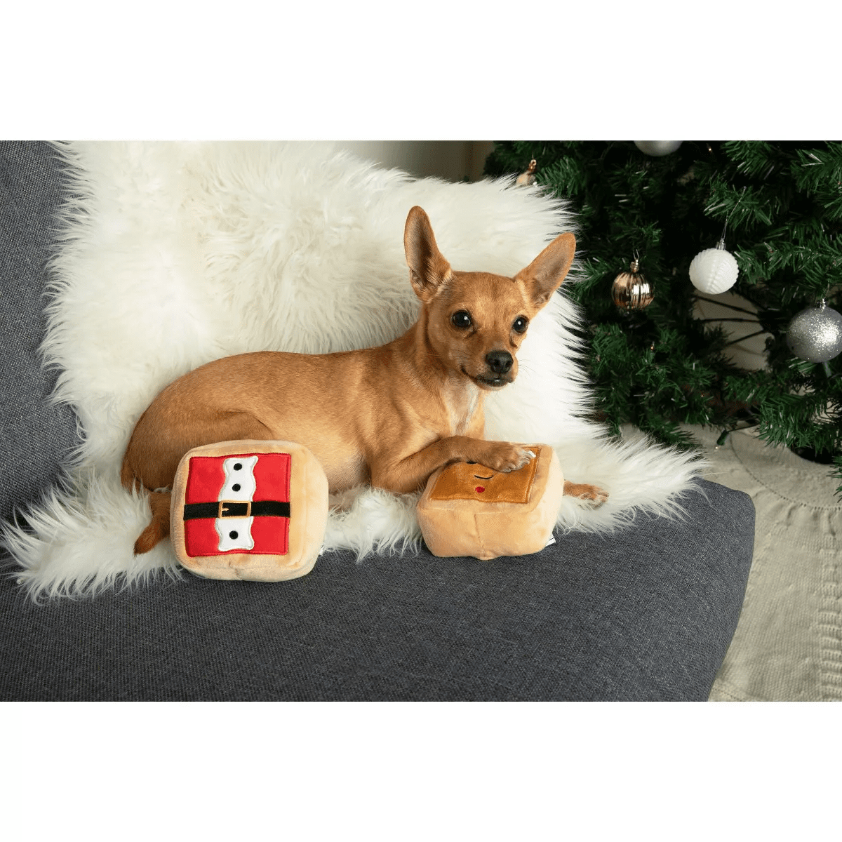 Midlee Gift Box Christmas Squares Sugar Cookie Plush Dog Toy-Reindeer, Gingerbread Man, Santa, Elf - Image 5
