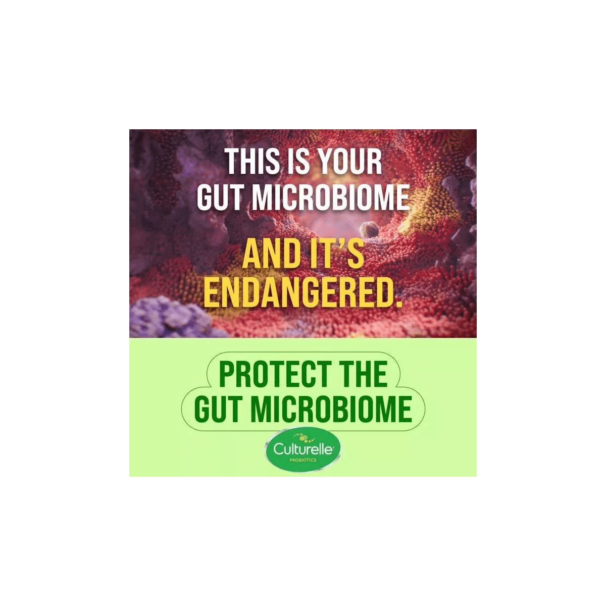 Culturelle Healthy Metabolism + Weight Management with Slimbiotics Capsules - 30Ct - Image 12