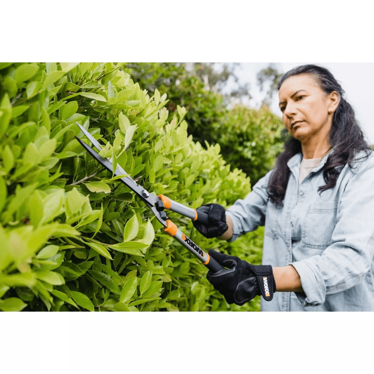 Worx WG062 9" Steel Blade Hedge Shears - Image 4