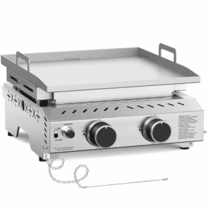 2-Burner Portable Propane Tabletop Grill in Stainless Steel