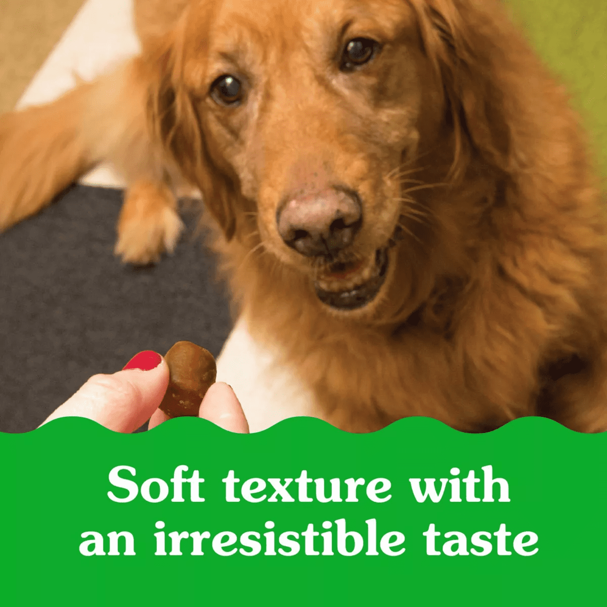 Greenies Chewy Dog Treats Pill Pockets Chicken Capsule Size - Image 11