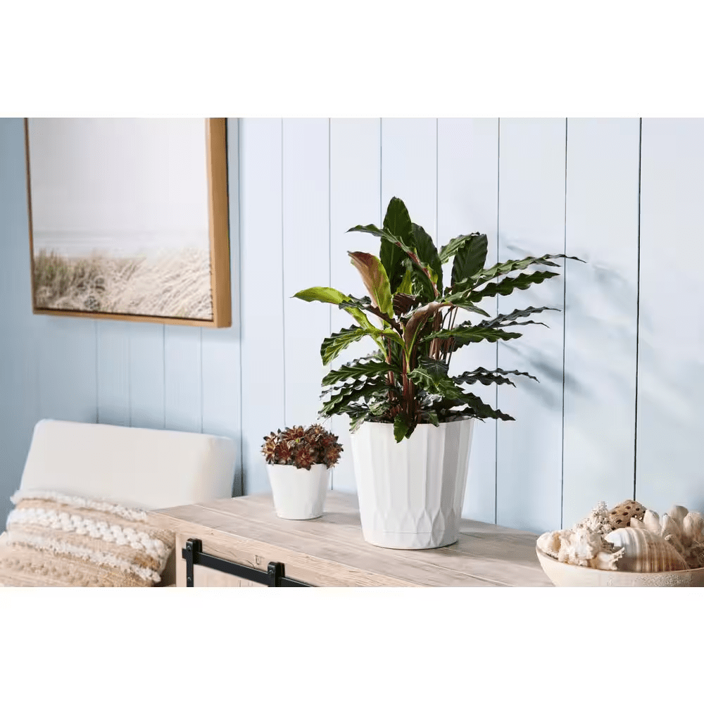 8.4 In. Concord Medium White Recycled Plastic Planter (8.4 In. D X 8.3 In. H) with Attached Saucer - Image 2