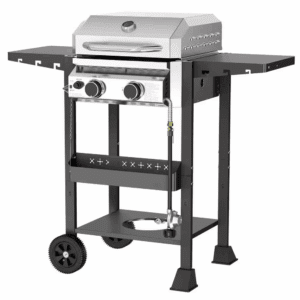 2-Burner Stainless Steel Propane Gas Grill