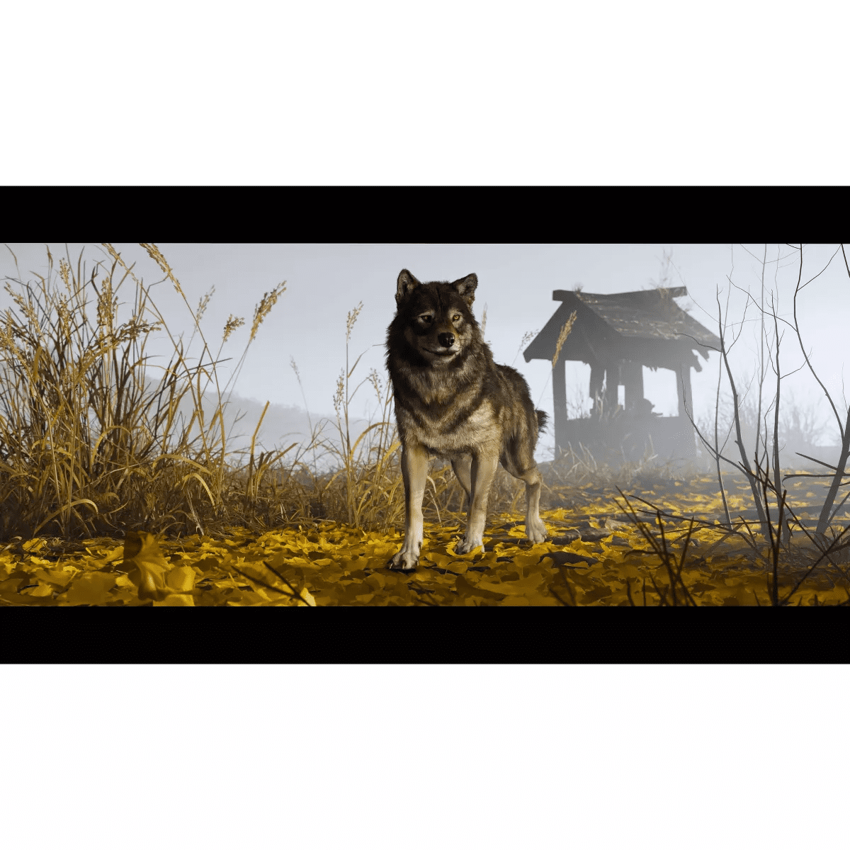 Ghost of Yotei - Playstation 5 - Image 4