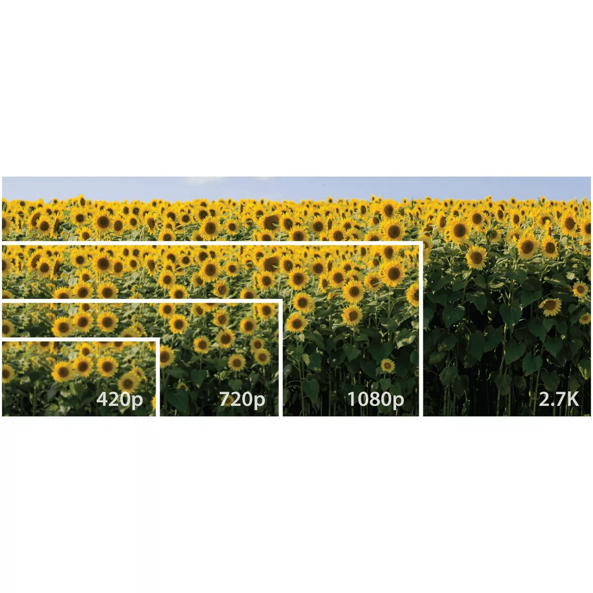 Minolta® MND20 16X Digital Zoom 44 MP/2.7K Quad HD Digital Camera - Image 5