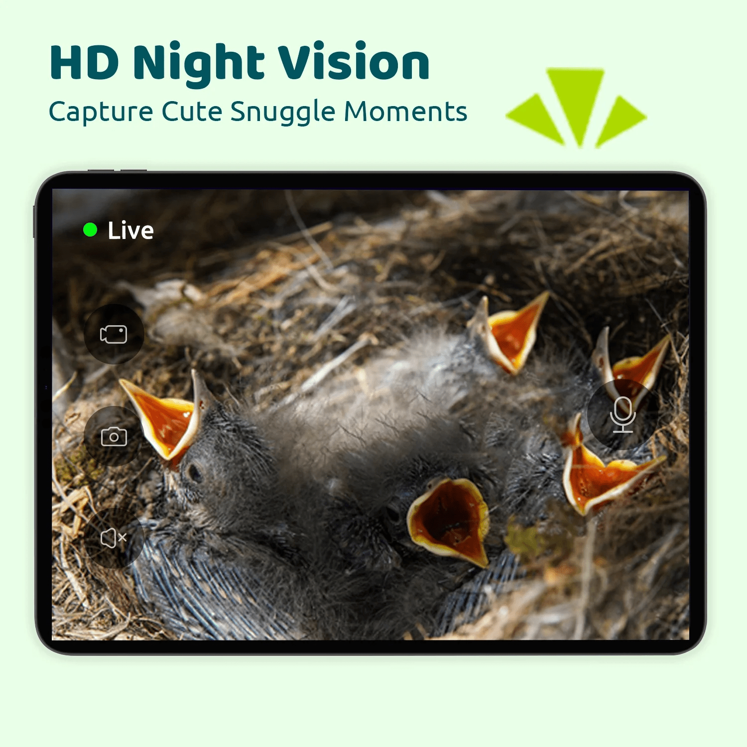 Smart s with 1080P HD Bird Feeder Camera, Perfect Viewing Bird Nesting and Hatching, Solar Powered, Cyan - Image 2